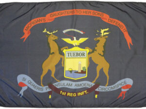 1st Michigan Infantry Regiment, Nylon 3′ X 5′