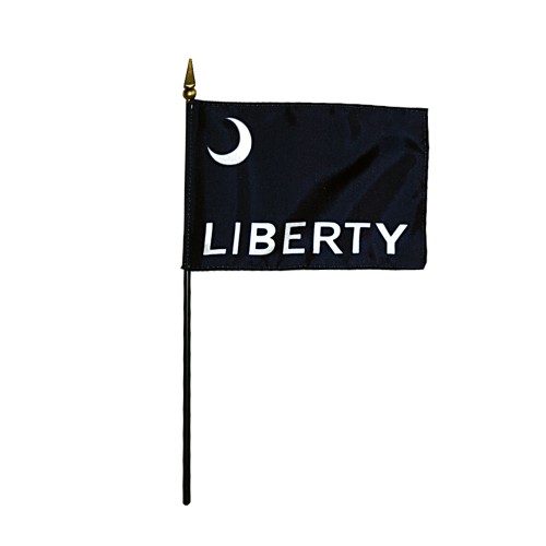 Fort Moultrie Desk Flag