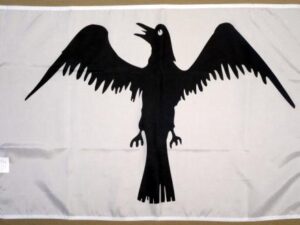 Raven Viking Flag, 2′ X 3′