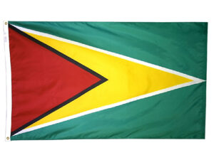 Guyana Flag, Nylon All Styles