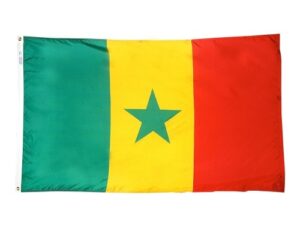 Senegal Flag, All Styles