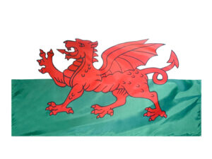 Wales Flag, All Styles