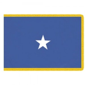 United States Air Force Officer Flag 1 Star Fringed