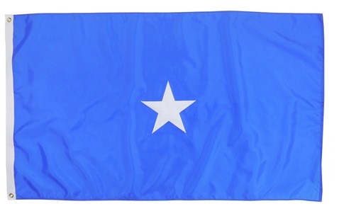 United States Air Force Officer Flag 1 Star