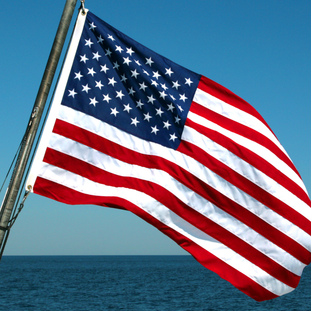 United States Nylon Flag, All Styles - Flagpro