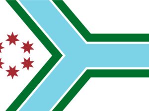 Cook County Illinois Flag, All Sizes