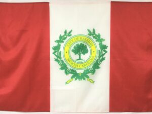 Raleigh North Carolina Flag, Nylon All Sizes