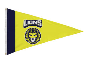 Custom Digital Pennants, All Sizes